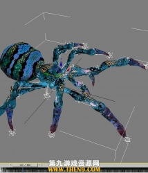 [次世代]一只3D模型蜘蛛2套贴图带骨骼全套动作免费下载！